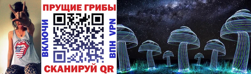 Псилоцибиновые грибы Cubensis  купить   Мглин 